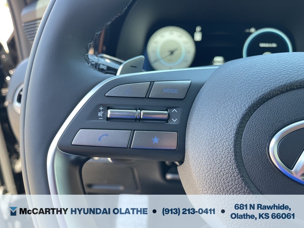 2025 Hyundai Palisade Calligraphy