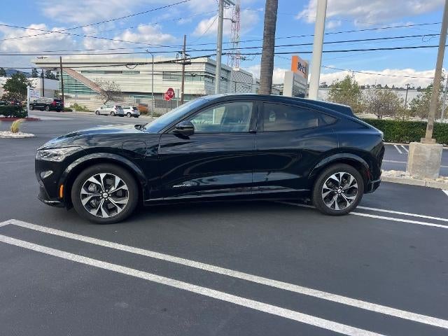 Used 2024 Ford Mustang Mach-E Premium AWD with VIN 3FMTK3SU1RMA01365 for sale in Kansas City