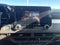 2026 Chevrolet Colorado Crew Cab Short Box 4-Wheel Drive LT