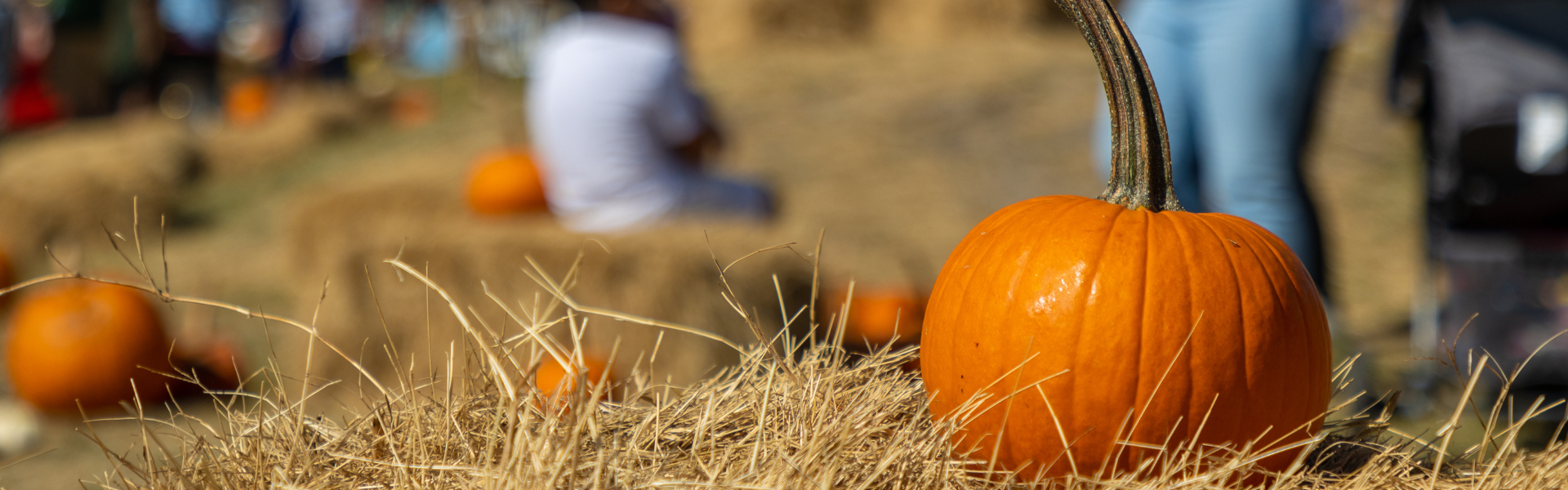 fall